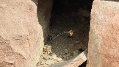 DSCN4154.JPG