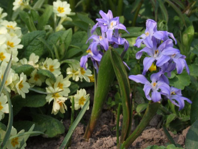 DSCF6075.JPG