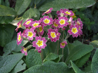 DSCF6088.JPG