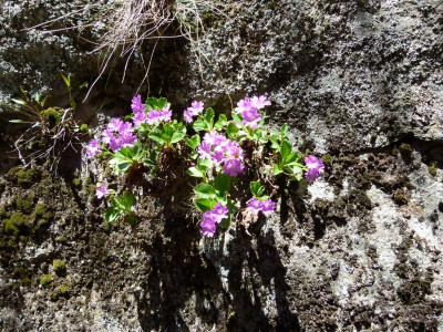 P1070632.JPG