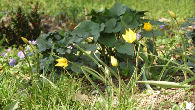 DSCN4157.JPG
