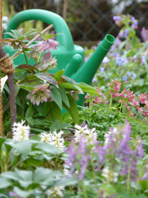 2019-03-31 Gartenimpressionen 2.jpg