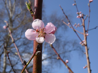 DSC00796.JPG