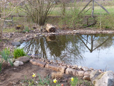 2019-03-31 Gartenteich 5.jpg