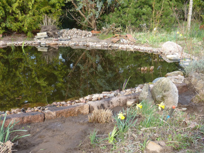 2019-03-31 Gartenteich 6.jpg
