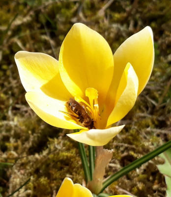 20190329_132851.jpg