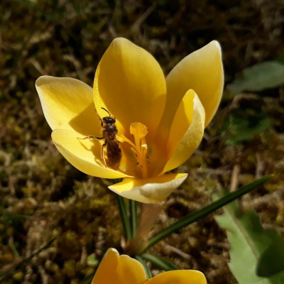 20190329_133109.jpg