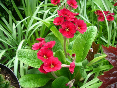 IMGP3818.JPG