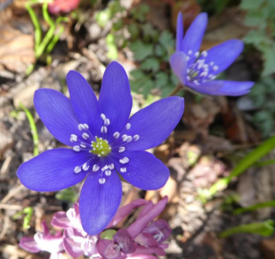 20190401_215157.jpg