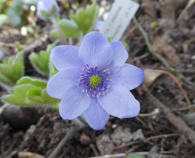 20190401_215606.jpg