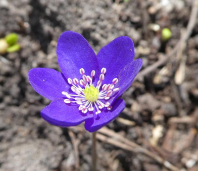 20190401_215122.jpg