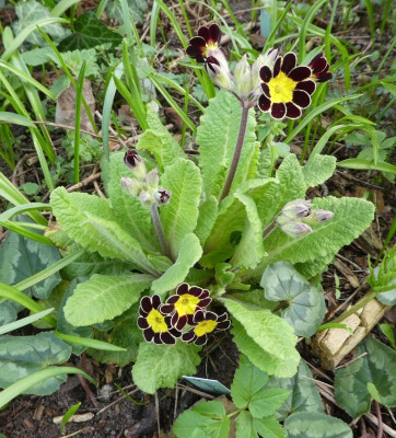 20190401_220454.jpg