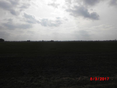 DSCI0783.JPG