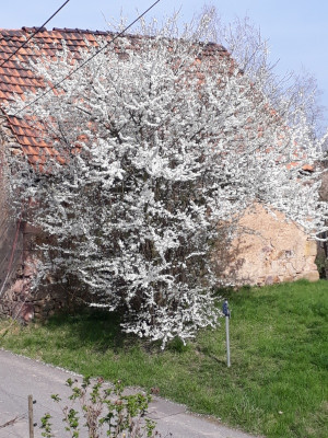 rps20190402_152632.jpg