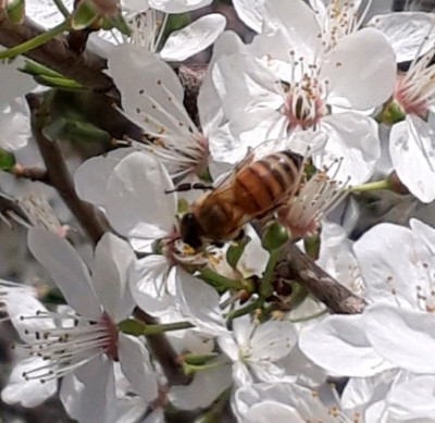 rps20190402_152513.jpg