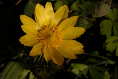 DSCF8875_3848.JPG