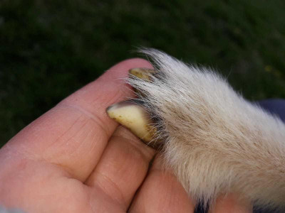 deinlebeninmeinerhand.jpg