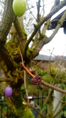 20190402_173811.jpg