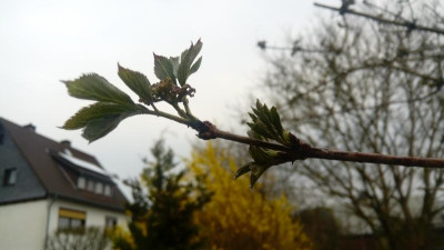 20190402_173837.jpg