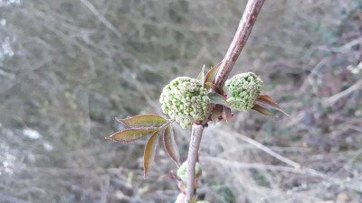 20190402_193114.jpg