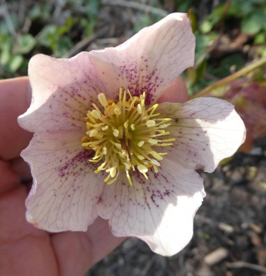 20190402_213725.jpg