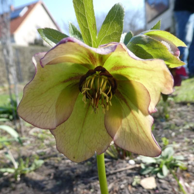 20190402_213742.jpg