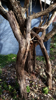 20190402_214547.jpg