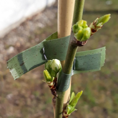 20190402_214127.jpg