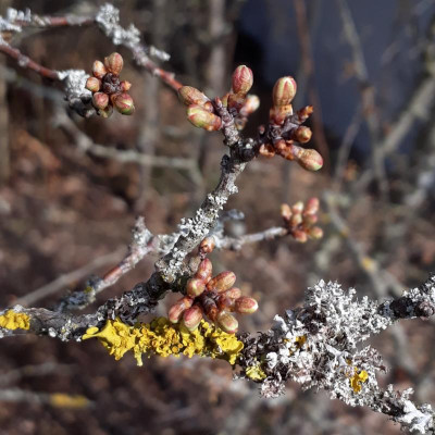 20190402_214043.jpg