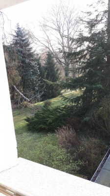 20190330_071005.jpg