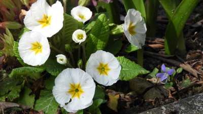DSCN4165.JPG