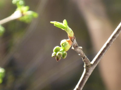 P1050674.JPG