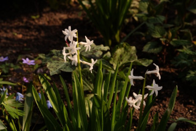 DSCF8877_3850.JPG