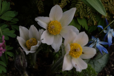 DSCF8879_3851.JPG