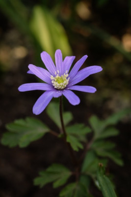 DSCF8876_3849.JPG