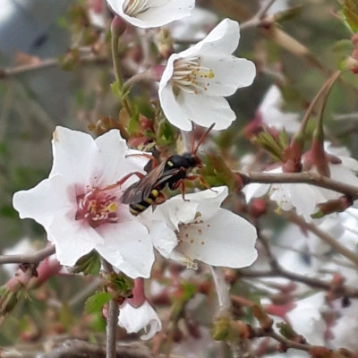 rps20190403_183812.jpg