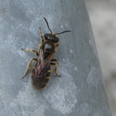 20190403_152453.jpg