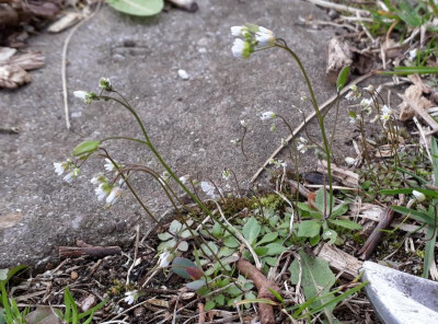 20190404_090558.jpg