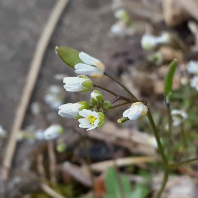 20190404_090500.jpg