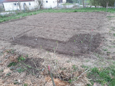 rps20190405_195312.jpg