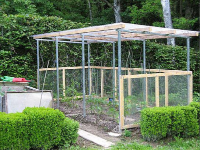 Tomatenhaus03.jpg
