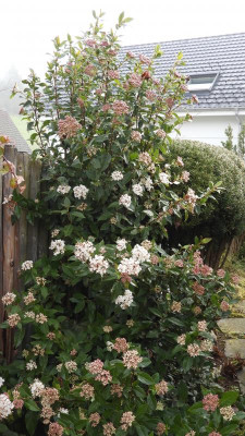 DSCN4167.JPG