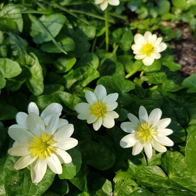 20190406_141019.jpg