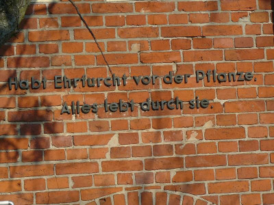 Staudenbörse 003.jpg