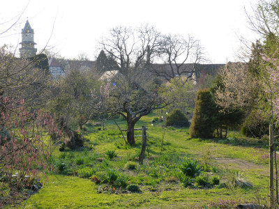 2019-04-06 Garteneinblick 1.jpg