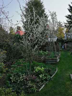 IMG_20190406_175035_600.jpg