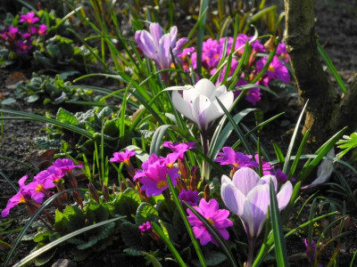 DSCN4106.JPG