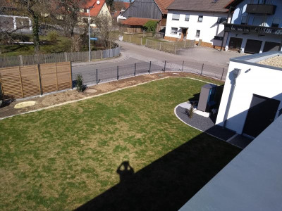 birne.jpg