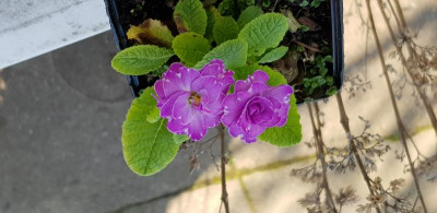 20190407_101003.jpg