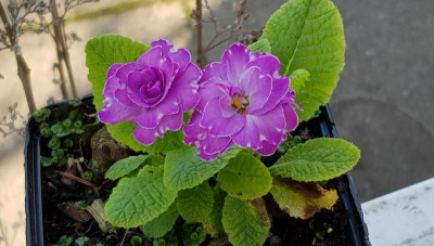 20190407_101003_1.jpg